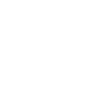whatsicon
