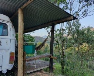 Kombi Na Natureza Selvagem